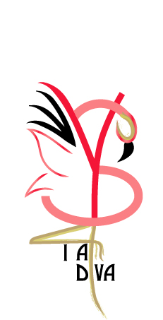 Logo YSM I am Diva